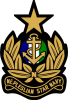 nepleslian star navy insignia.png