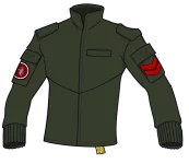 Field Jacket Type 37 Green.webp