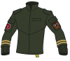 Field Jacket Type 37 Green Taii.png