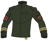 Field Jacket Type 37 Green Taii.webp