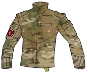 Field Jacket Type 37 multicam.webp