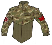 Field Jacket Type 37A camo.webp