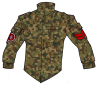 Field Jacket Type 37A camo.png