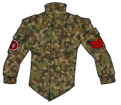 Field Jacket Type 37A camo.webp