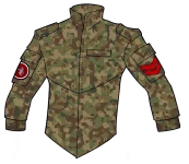 Field Jacket Type 37A camo test 3.webp