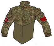 Field Jacket Type 37A camo test 4.webp