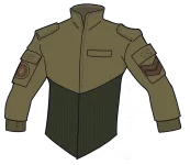 Field Jacket Type 37A two tone with hex.webp