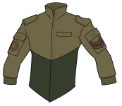 Field Jacket Type 37A two tone.webp