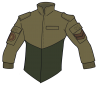 Field Jacket Type 37A two tone.png