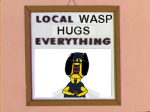 localwasp.png