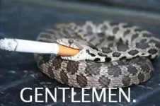 aimg.memesuper.com_a1848a6566baef970698a6aab53ea01a_snake_meme_memesuper_snake_meme_400_266.jpeg