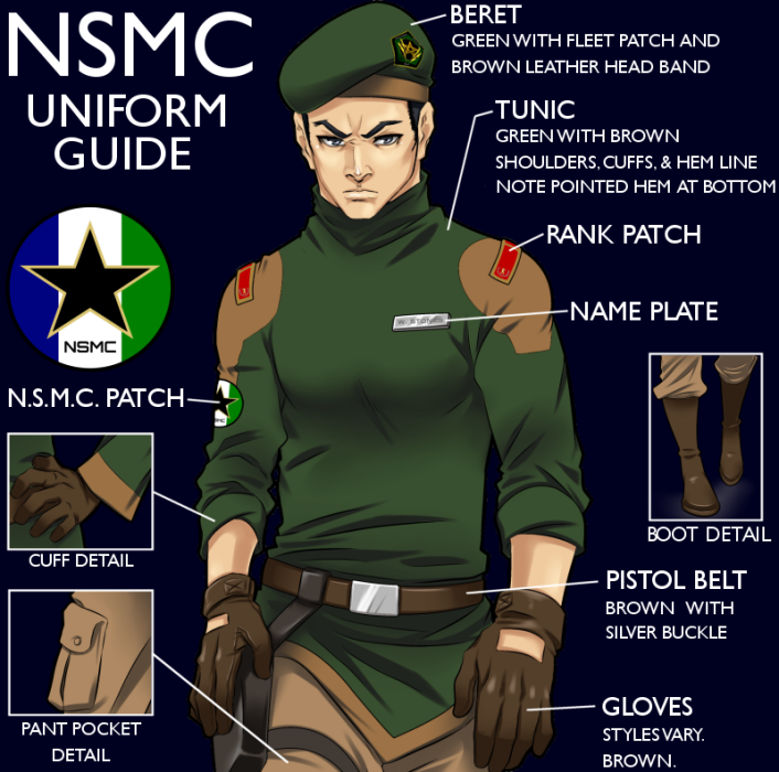 nsmc_uniform_guide.png