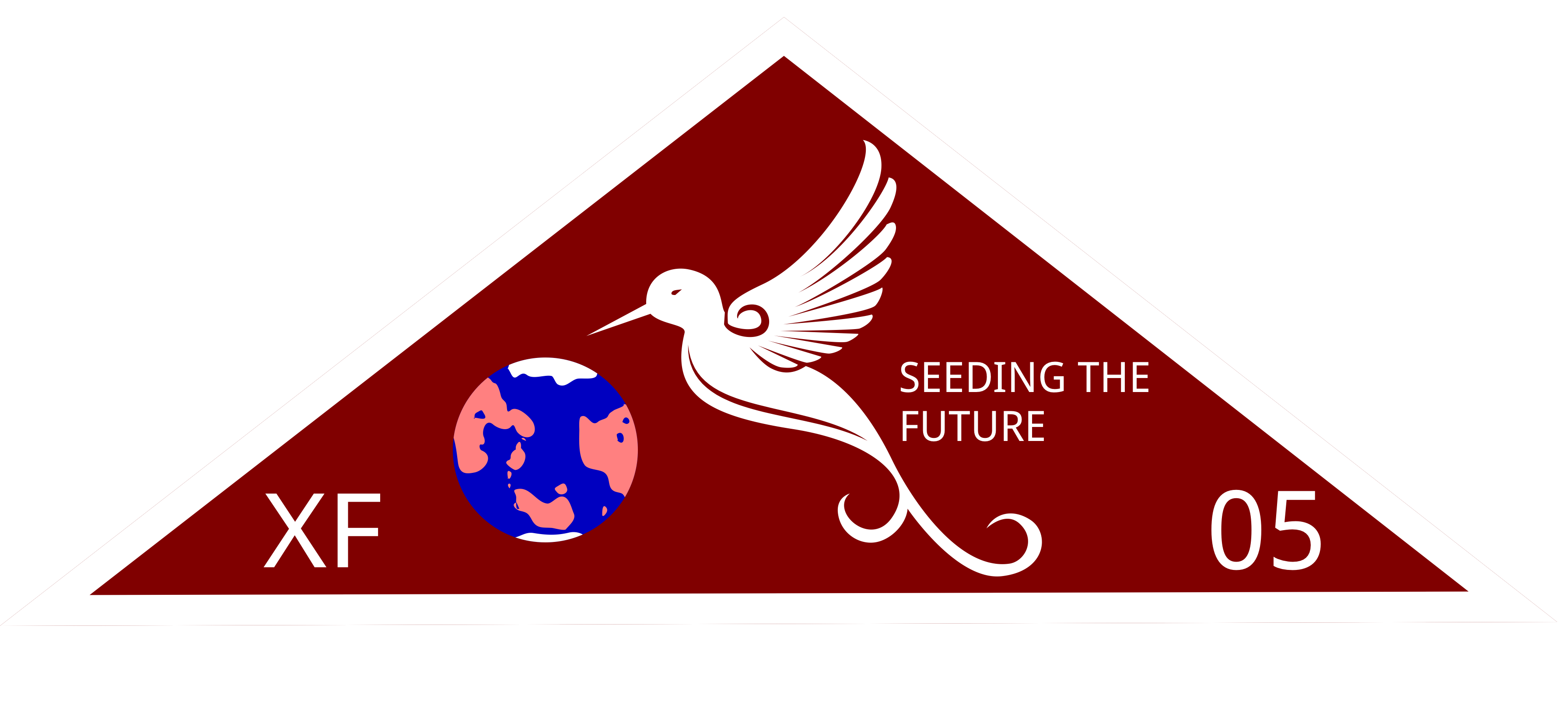 Fifth Expeditionary Fleet Patch