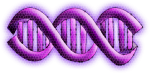 Murasaki Biotech Logo