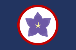New flag of Yamatai