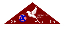 5th Expeditionary Fleet Patch