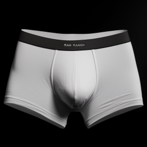 boxer_briefs_white_with_black_waistband.png