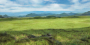 places:kameyama_district_2.png