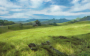places:kameyama_district_1.png