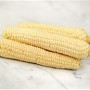 dakota_ivory_corn.jpg