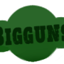 bigguns_logo.png